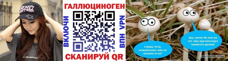Купить закладки  Спасск-Дальний  Псилоцибиновые грибы Magic Shrooms 